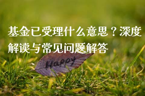 基金已受理什么意思？深度解读与常见问题解答_https://www.apanben.com_股市指导_第1张