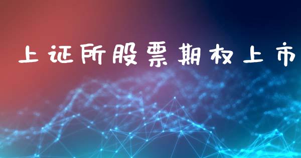 上证所股票期权上市_https://www.apanben.com_国际期货_第1张