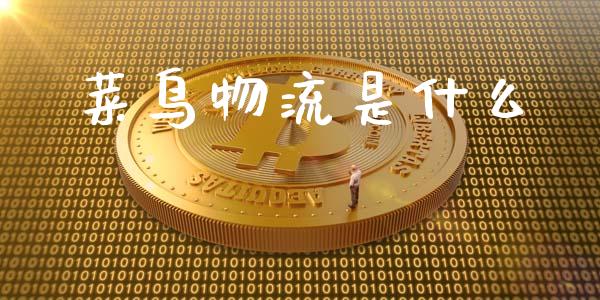 菜鸟物流是什么_https://www.apanben.com_期货学院_第1张