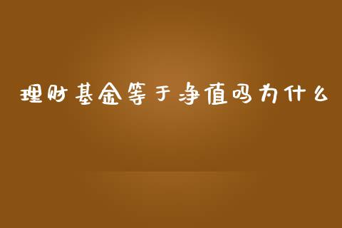 理财基金等于净值吗为什么_https://www.apanben.com_国际财经_第1张