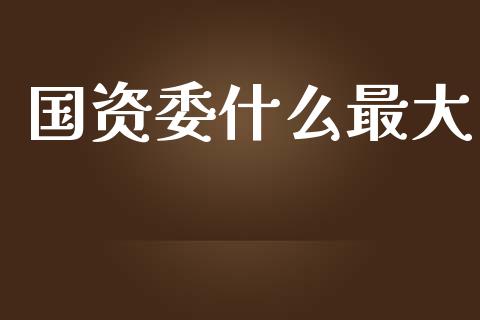 国资委什么最大_https://www.apanben.com_期货学院_第1张