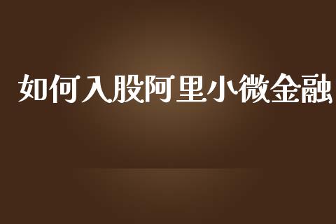 如何入股阿里小微金融_https://www.apanben.com_在线喊单_第1张