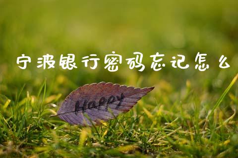 宁波银行密码忘记怎么_https://www.apanben.com_股市分析_第1张