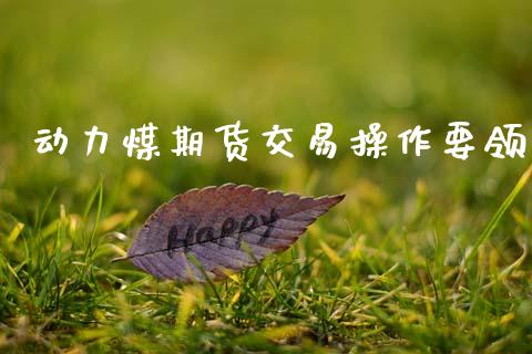 动力煤期货交易操作要领_https://www.apanben.com_国际财经_第1张