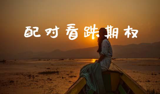 配对看跌期权_https://www.apanben.com_国际财经_第1张