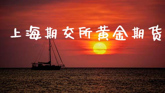 上海期交所黄金期货_https://www.apanben.com_期货学院_第1张