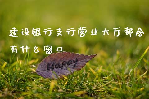 建设银行支行营业大厅都会有什么窗口_https://www.apanben.com_国际财经_第1张