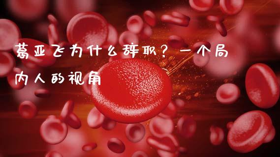 葛亚飞为什么辞职？一个局内人的视角_https://www.apanben.com_股市分析_第1张