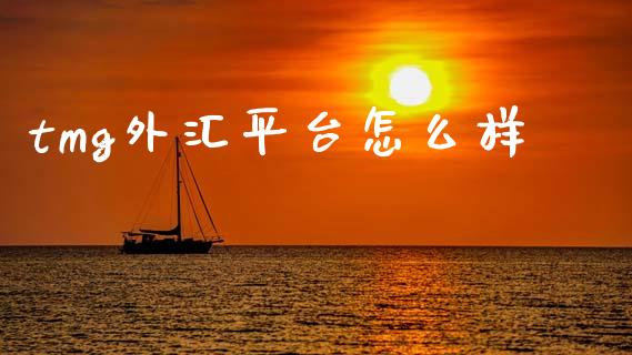tmg外汇平台怎么样_https://www.apanben.com_股市分析_第1张