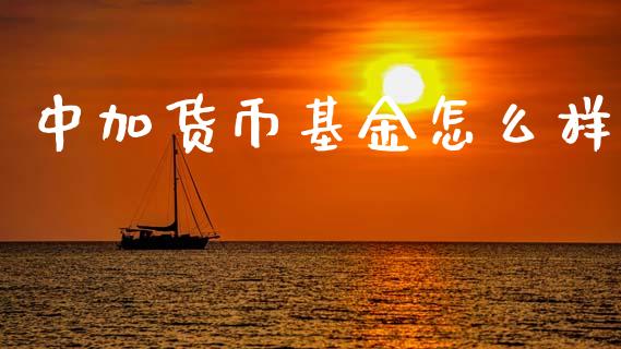 中加货币基金怎么样_https://www.apanben.com_股票怎么玩_第1张