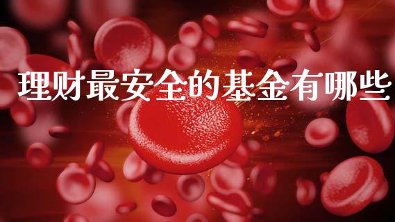 理财最安全的基金有哪些_https://www.apanben.com_财经资讯_第1张