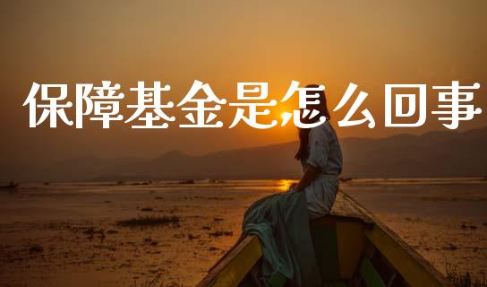保障基金是怎么回事_https://www.apanben.com_国际财经_第1张