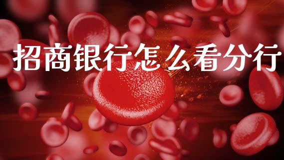 招商银行怎么看分行_https://www.apanben.com_股市分析_第1张