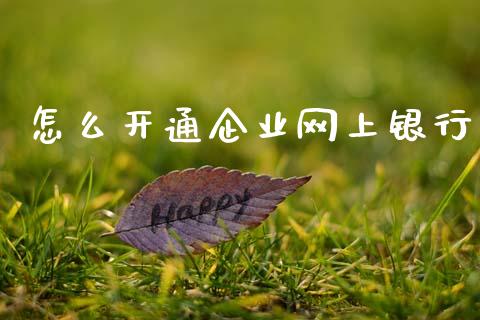 怎么开通企业网上银行_https://www.apanben.com_国际财经_第1张