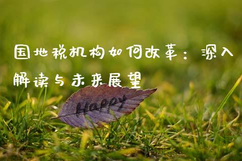 国地税机构如何改革：深入解读与未来展望_https://www.apanben.com_国际期货_第1张