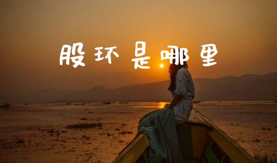股环是哪里_https://www.apanben.com_财经资讯_第1张