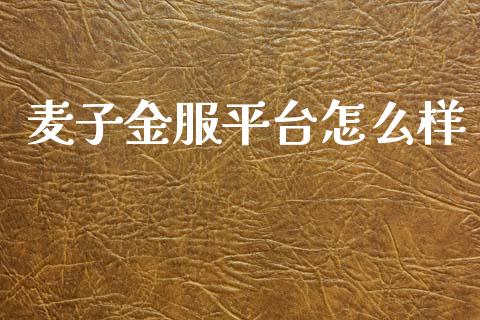 麦子金服平台怎么样_https://www.apanben.com_国际财经_第1张