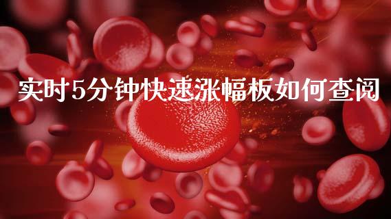 实时5分钟快速涨幅板如何查阅_https://www.apanben.com_国际财经_第1张