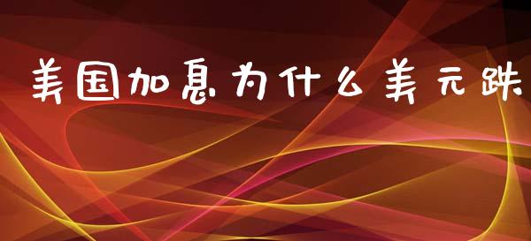 美国加息为什么美元跌_https://www.apanben.com_期货学院_第1张