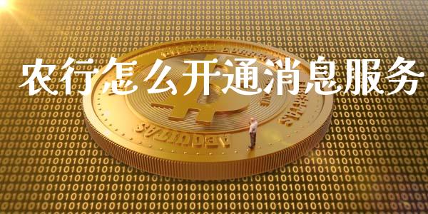 农行怎么开通消息服务_https://www.apanben.com_财经资讯_第1张