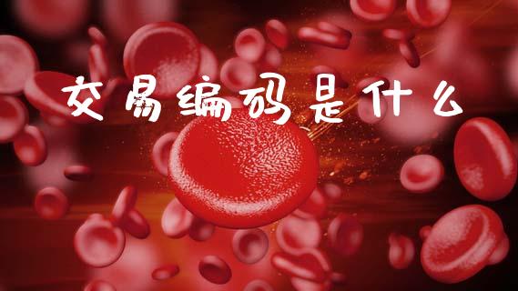 交易编码是什么_https://www.apanben.com_期货学院_第1张