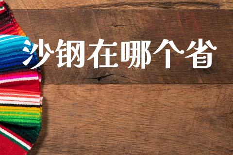 沙钢在哪个省_https://www.apanben.com_财经资讯_第1张