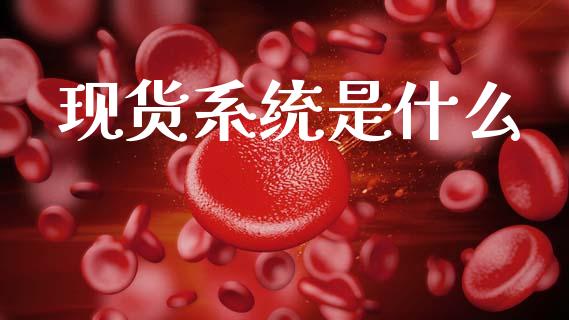 现货系统是什么_https://www.apanben.com_期货学院_第1张