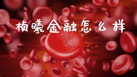 桢曦金融怎么样_https://www.apanben.com_股市指导_第1张