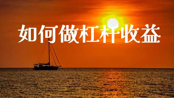 如何做杠杆收益_https://www.apanben.com_国际期货_第1张