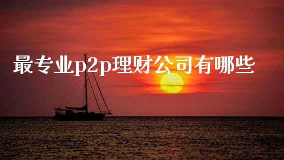 最专业p2p理财公司有哪些_https://www.apanben.com_在线喊单_第1张