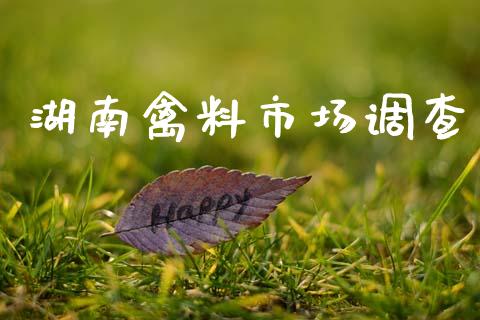 湖南禽料市场调查_https://www.apanben.com_期货学院_第1张