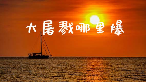 大屠戮哪里爆_https://www.apanben.com_期货学院_第1张