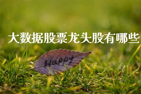 大数据股票龙头股有哪些_https://www.apanben.com_股票怎么玩_第1张