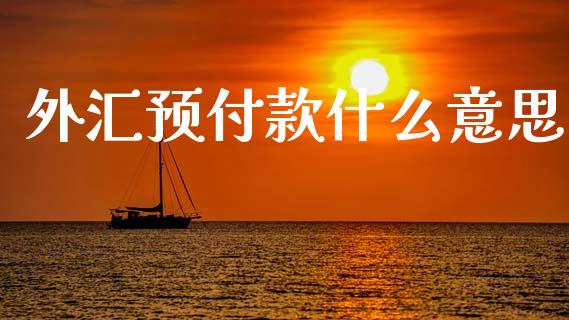 外汇预付款什么意思_https://www.apanben.com_国际期货_第1张