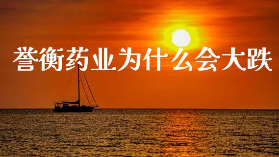 誉衡药业为什么会大跌_https://www.apanben.com_期货学院_第1张