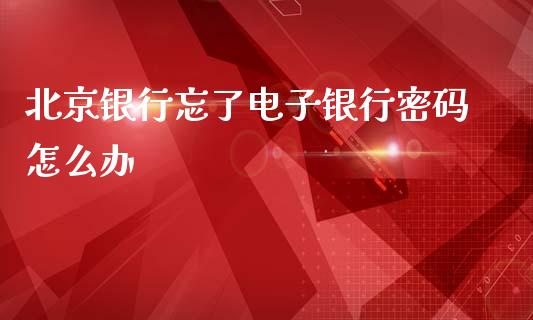 北京银行忘了电子银行密码怎么办_https://www.apanben.com_国际期货_第1张