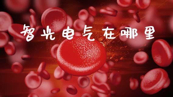 智光电气在哪里_https://www.apanben.com_财经资讯_第1张
