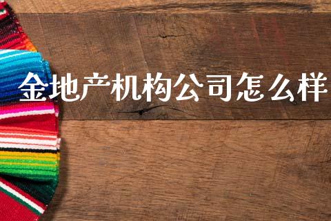 金地产机构公司怎么样_https://www.apanben.com_股票怎么玩_第1张