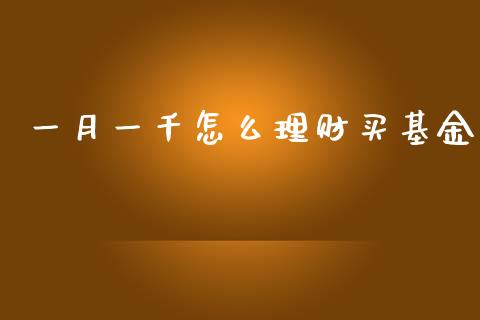 一月一千怎么理财买基金_https://www.apanben.com_财经资讯_第1张