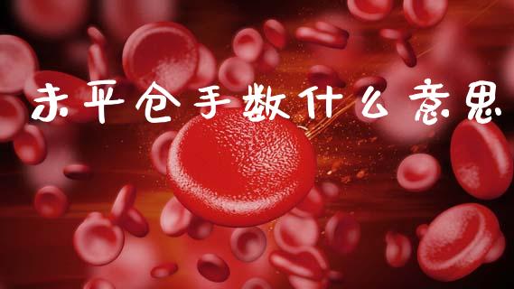 未平仓手数什么意思_https://www.apanben.com_财经资讯_第1张