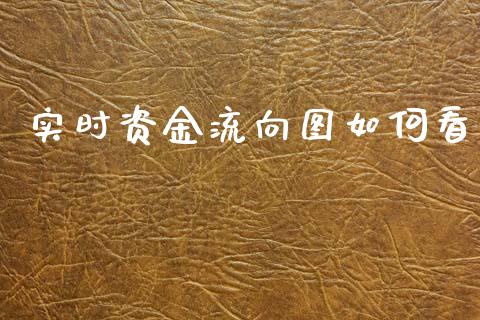 实时资金流向图如何看_https://www.apanben.com_国际期货_第1张