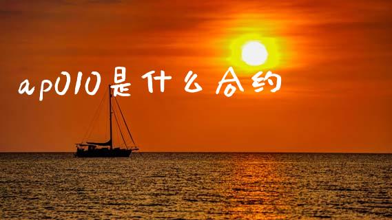 ap010是什么合约_https://www.apanben.com_国际财经_第1张