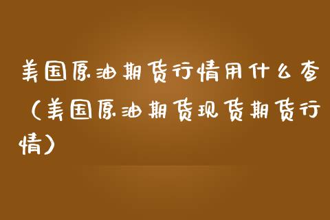 美国原油期货行情用什么查（美国原油期货现货期货行情）_https://www.apanben.com_期货学院_第1张