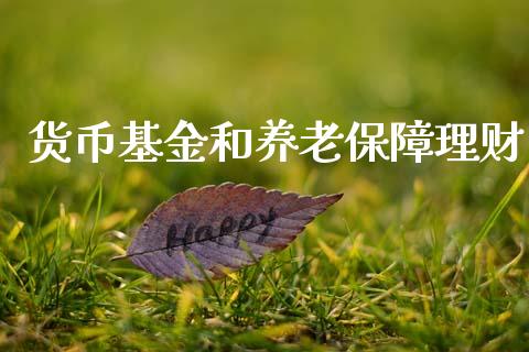 货币基金和养老保障理财_https://www.apanben.com_国际财经_第1张