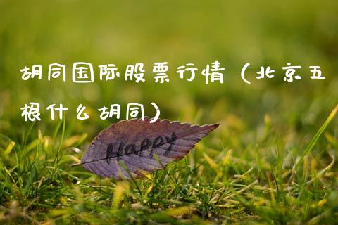 胡同国际股票行情（北京五根什么胡同）_https://www.apanben.com_股市分析_第1张