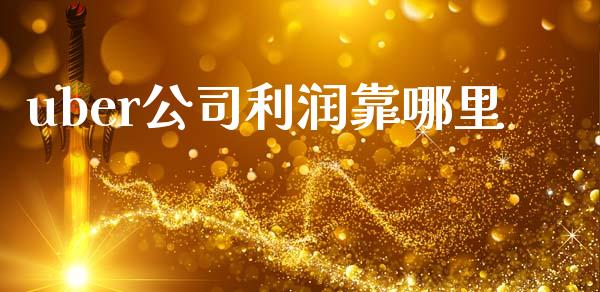 uber公司利润靠哪里_https://www.apanben.com_在线喊单_第1张