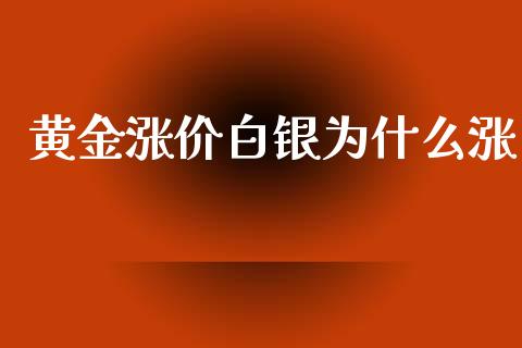 黄金涨价白银为什么涨_https://www.apanben.com_国际期货_第1张