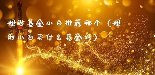 理财基金小白推荐哪个（理财小白买什么基金好）_https://www.apanben.com_国际财经_第1张