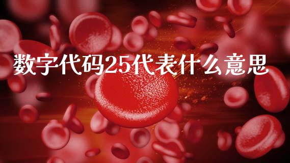 数字代码25代表什么意思_https://www.apanben.com_股市分析_第1张