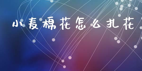 小麦棉花怎么扎花_https://www.apanben.com_财经资讯_第1张